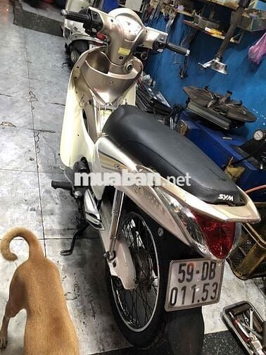 xe sym 50cc xe đẹp dành cho học sinh