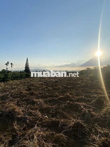 2000m2 đất nhà 1ty350-18m MT Trung tâm Thôn1 LỘC AN BẢO LÂM 2 LÂM ĐỒNG