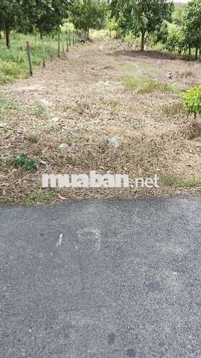 🌟🌟 CƠ HỘI VÀNG – ĐẤT MẶT TIỀN DH722 – MINH HÒA 🌟🌟