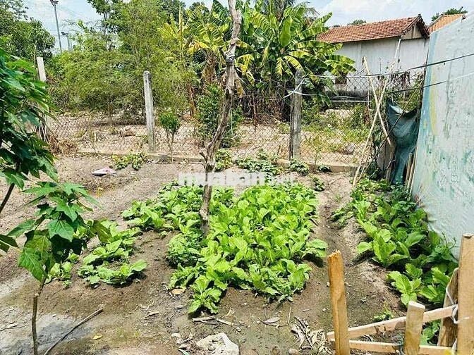 CHO THUÊ NHÀ PHÚ MỸ FULL NỘI THẤT XÁCH VALI VÀO LÀ Ở