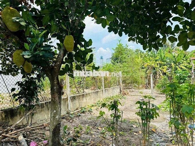 CHO THUÊ NHÀ PHÚ MỸ FULL NỘI THẤT XÁCH VALI VÀO LÀ Ở