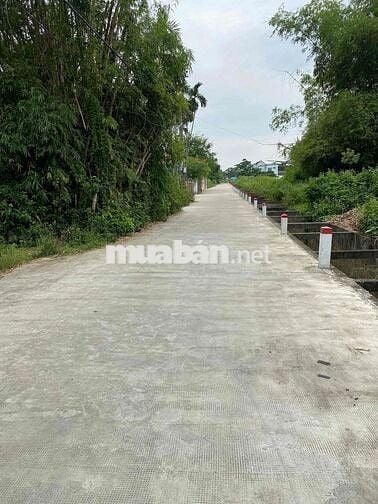 bán đất thuộc phường hoà xuân mơi