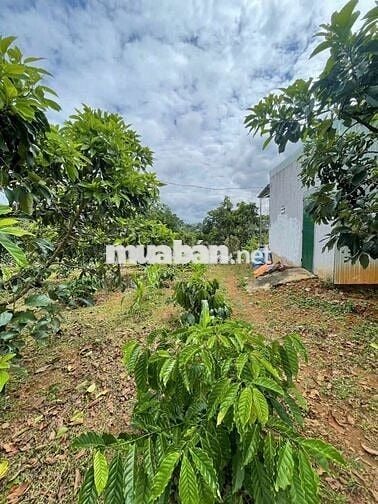 Rẻ ngộp đầu tư hay nghỉ dưỡng đều ok