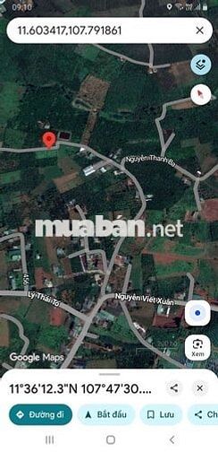 Rẻ ngộp đầu tư hay nghỉ dưỡng đều ok