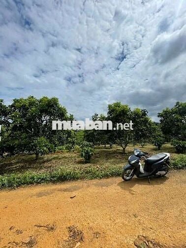 Rẻ ngộp đầu tư hay nghỉ dưỡng đều ok