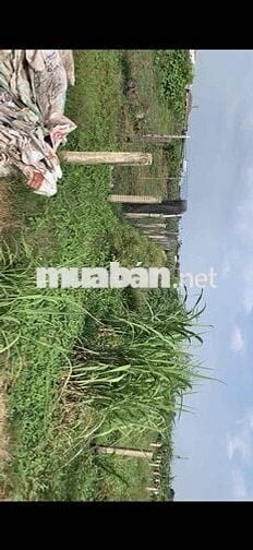 Cần bán lô đất đẹp Châu Thành, Long An