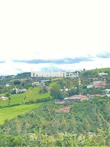 Rẻ ngộp đầu tư hay nghỉ dưỡng đều ok