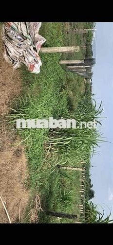 Cần bán lô đất đẹp Châu Thành, Long An