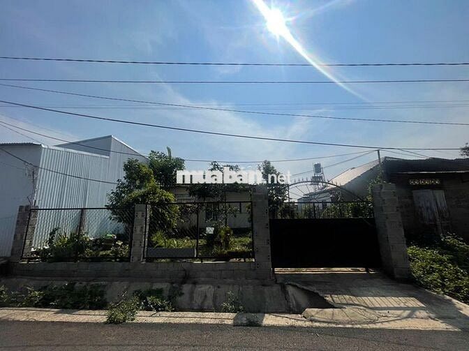 NHÀ VƯỜN HẺM 88 LỮ GIA - LỘC CHÂU - BẢO LỘC - 10X31M SẴN 100 THỔ CƯ
