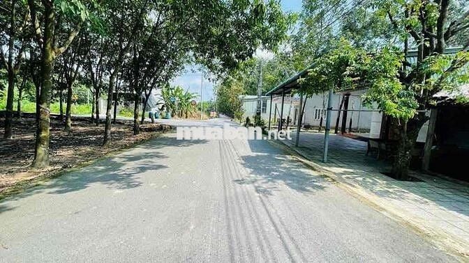 CƠ HỘI SỞ HỮU 2.000M² ĐẤT SÀO GIÁ RẺ