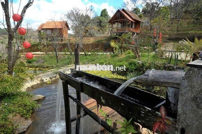 💼 SANG NHƯỢNG HOMESTAY – ĐẤT VÀ MÔ HÌNH KHAI THÁC NGAY TẠI D’RAN – LÂM