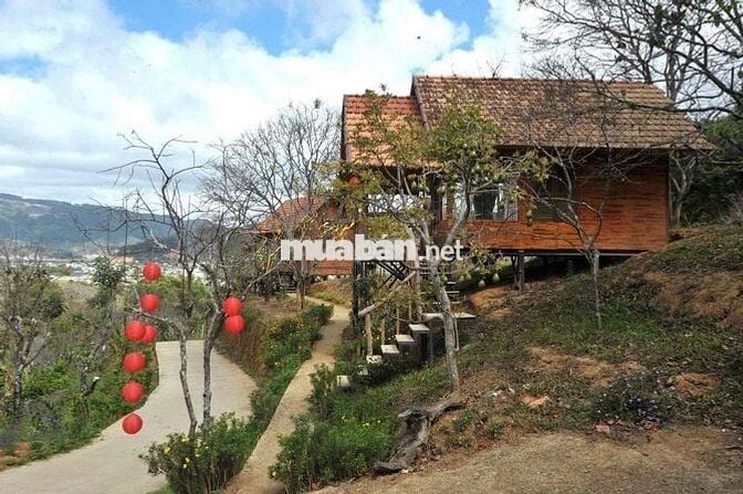 💼 SANG NHƯỢNG HOMESTAY – ĐẤT VÀ MÔ HÌNH KHAI THÁC NGAY TẠI D’RAN – LÂM