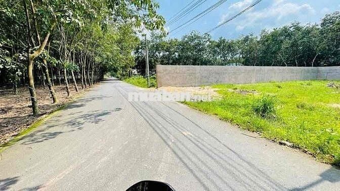 CƠ HỘI SỞ HỮU 2.000M² ĐẤT SÀO GIÁ RẺ