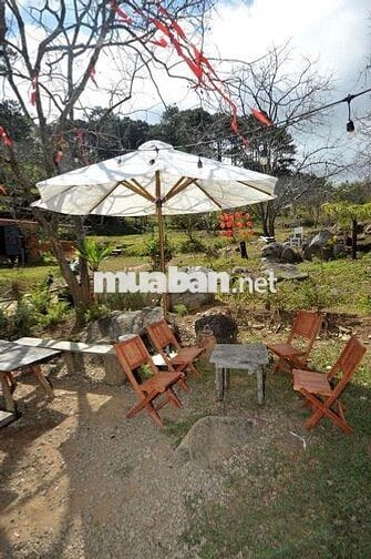 💼 SANG NHƯỢNG HOMESTAY – ĐẤT VÀ MÔ HÌNH KHAI THÁC NGAY TẠI D’RAN – LÂM