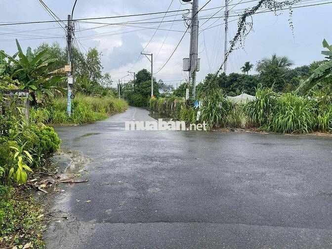Chủ về quê bán gấp cắt lỗ 500tr lô đất 200m2 cách trung tâm 1km