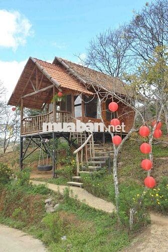 💼 SANG NHƯỢNG HOMESTAY – ĐẤT VÀ MÔ HÌNH KHAI THÁC NGAY TẠI D’RAN – LÂM