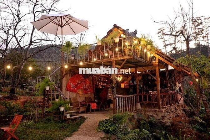 💼 SANG NHƯỢNG HOMESTAY – ĐẤT VÀ MÔ HÌNH KHAI THÁC NGAY TẠI D’RAN – LÂM