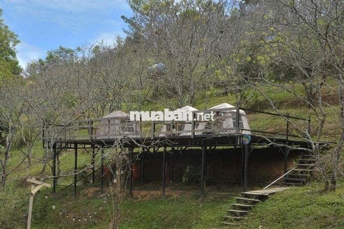💼 SANG NHƯỢNG HOMESTAY – ĐẤT VÀ MÔ HÌNH KHAI THÁC NGAY TẠI D’RAN – LÂM