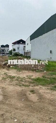 Bán gấp đất Xuân Nê  Đại Áng ô tô phân lô, vỉa hè, giá 9 tỷ