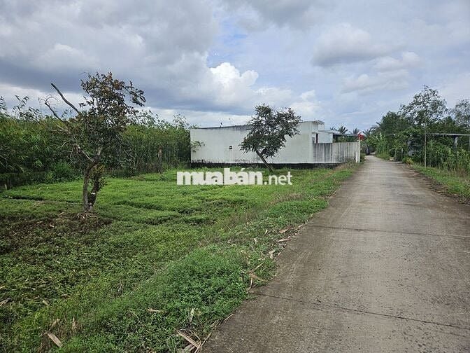 ĐẤT NỀN XẺO LÁ- NHÁNH TRƯƠNG VĨNH NGUYÊN