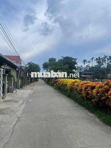 DUY PHƯỚC - GẦN QUỐC LỘ 1A - BÁN LÔ ĐẤT ĐẸP GẦN TRƯỜNG HỌC, GẦN CHỢ,