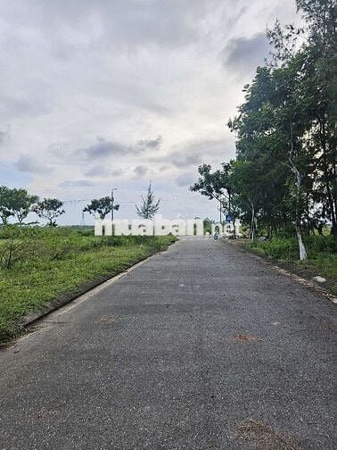 Bán Lô tái định cư 5m5. HÒA QUÝ. NAM KỲ KHỞI NGHĨA. 100m2. 2 tỷ 650