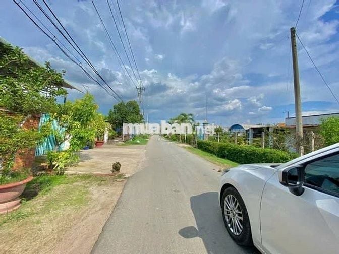 ĐẤT ĐẦU TƯ XÂY TRỌ 185m2 GIÁ 430tr CÓ THỔ Đ.Số 3 Tân Thông Hội, Củ Chi