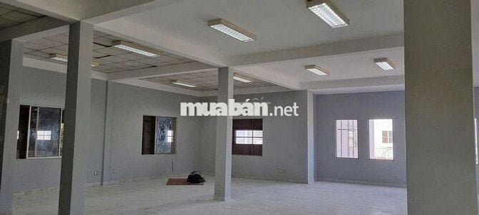 CHO THUÊ XƯỞNG 2.500M² – KCN LONG HẬU, LONG AN – VỊ TRÍ VÀNG GẦN CẢNG