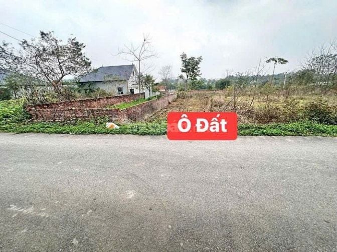 Bán 122m đất Tam Dương cách trường chuyên VP 1.5km giá tốt 1,x tỷ