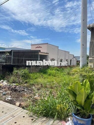 CẦN BÁN GẤP ĐẤT MT TÂN THẠNH ĐÔNG CỦ CHI 500M2 GIÁ 680TR SHR