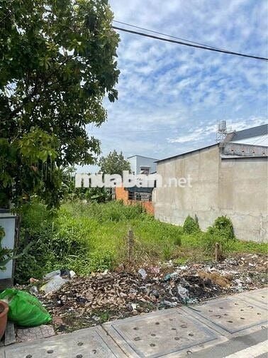 CẦN BÁN GẤP ĐẤT MT TÂN THẠNH ĐÔNG CỦ CHI 500M2 GIÁ 680TR SHR