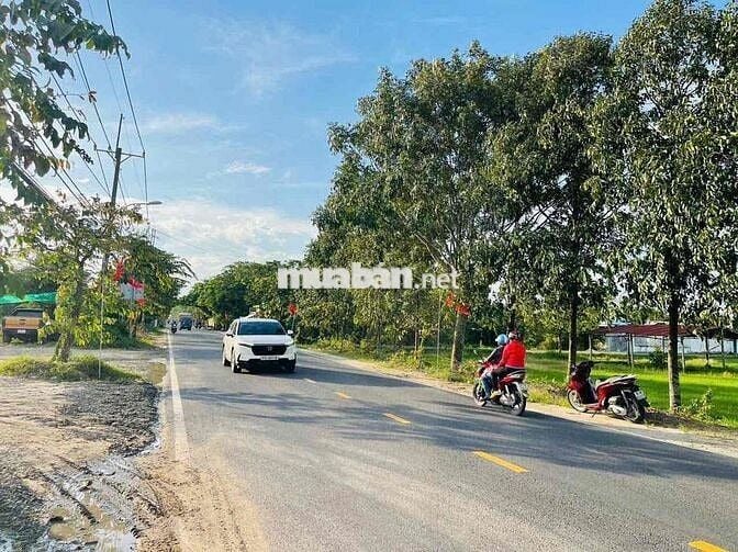 🌳 BÁN ĐẤT MẶT TIỀN ĐƯỜNG TỈNH LỘ 2 – TRUNG LẬP HẠ (XÃ NHUẬN ĐỨC MỚI),