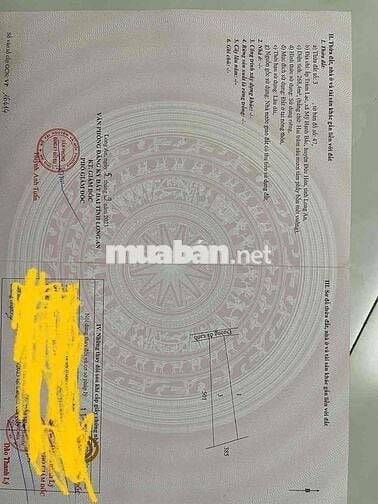 Đất thổ cư 1 sẹc Đường mỹ hạnh, full thổ 268 m2