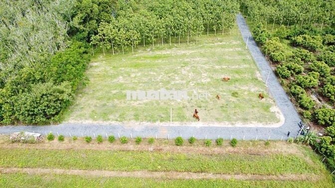 ĐẤT THỔ CƯ 5X33 NGAY CANSPOPT CHỈ 395 TRIỆU