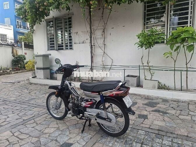 Xe dream Hàn Quốc