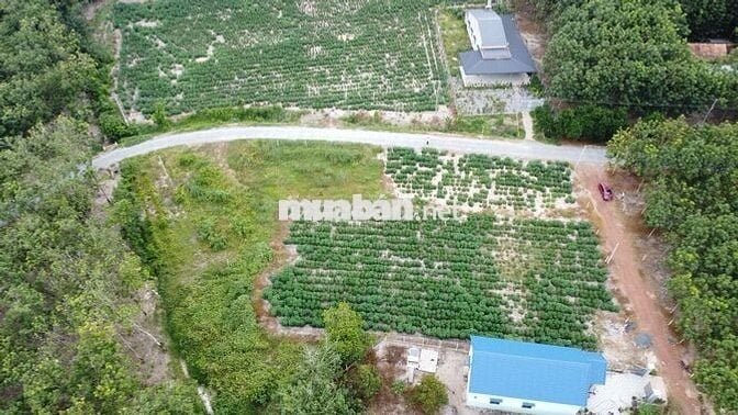 BDS NGAY TÁI ĐỊNH CƯ ,  5X40 CÓ THỔ CƯ 470 TRIỆU