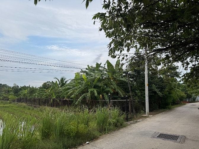 bán đất vườn diện tích 1750m2 mặt tiền đường xe tải