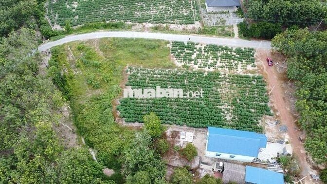 BDS NGAY TÁI ĐỊNH CƯ ,  5X40 CÓ THỔ CƯ 470 TRIỆU