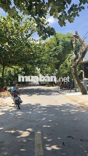 CHO THUÊ NHÀ NGUYÊN CĂN – LÊ TRỌNG TẤN, HỘI AN