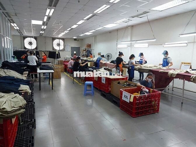 Cho thuê kho xưởng 1.500m², Tỉnh Lộ 10, Bình Tân, giá chỉ: 80tr/tháng