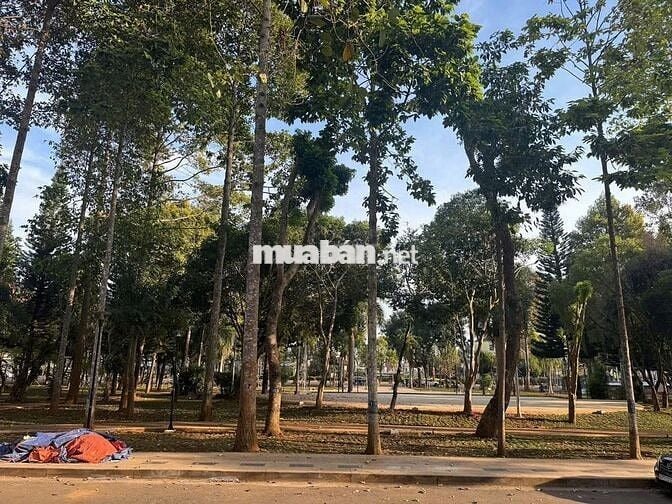 BÁN NHÀ ĐƯỜNG HOÀNG VĂN THỤ – ĐỐI DIỆN CÔNG VIÊN PHÙ ĐỔNG