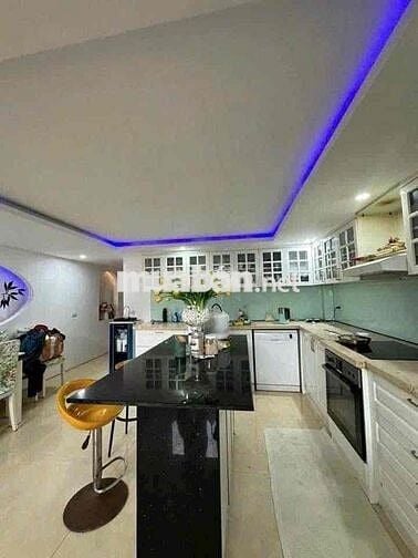 Cho thuê nhà biệt thự nguyễn huy tưởng liên chiểu