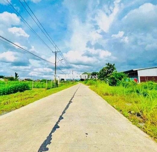 Nhà có 2057m2 đất thổ vườn ở Phước Thạnh – Giá 3 tỷ - Cách QL22 200m