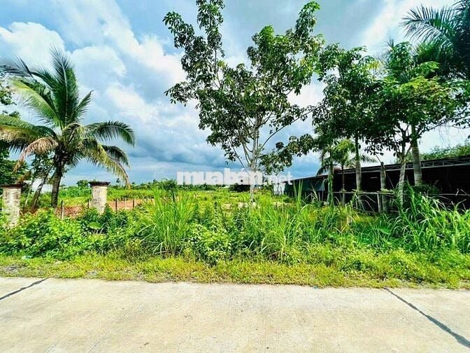 Nhà có 2057m2 đất thổ vườn ở Phước Thạnh – Giá 3 tỷ - Cách QL22 200m
