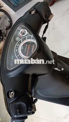Mio thái biển 70 9C