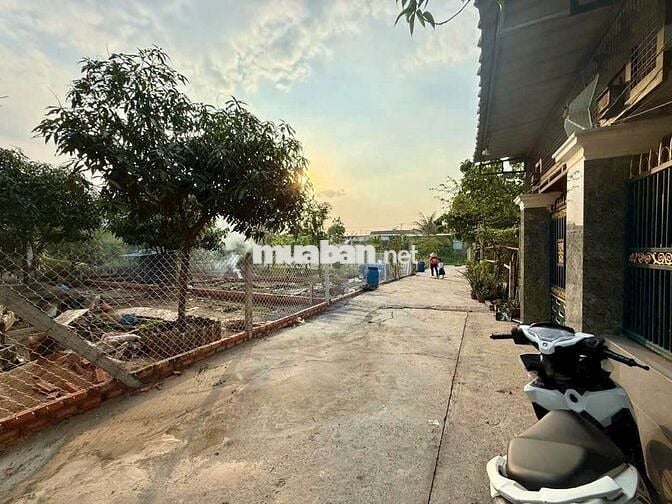 Bán 3 lô đất hẻm ôtô xã Xuân Thới Sơn,DT: 7 x 17 (103m2 full thổ cư)