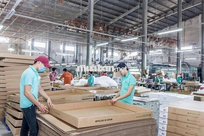 🔥 CHÍNH CHỦ gửi bán XƯỞNG 6900m2 Đường Lớn sát Lê Hồng Phong - Dĩ An