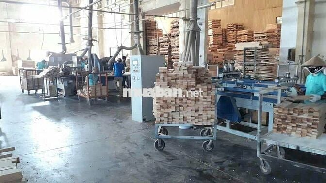 🔥 CHÍNH CHỦ gửi bán XƯỞNG 6900m2 Đường Lớn sát Lê Hồng Phong - Dĩ An