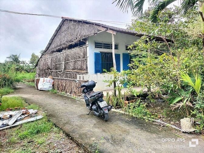 1300m Nhà và đất cây lâu năm. Ngay Cầu Bình Xuân, Gò Công Tiền Giang.