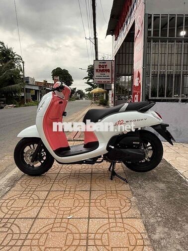 Scoopy Thailand